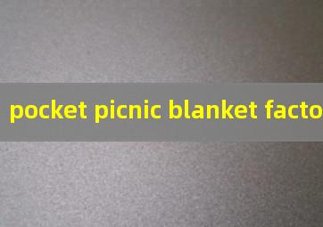 pocket picnic blanket factory